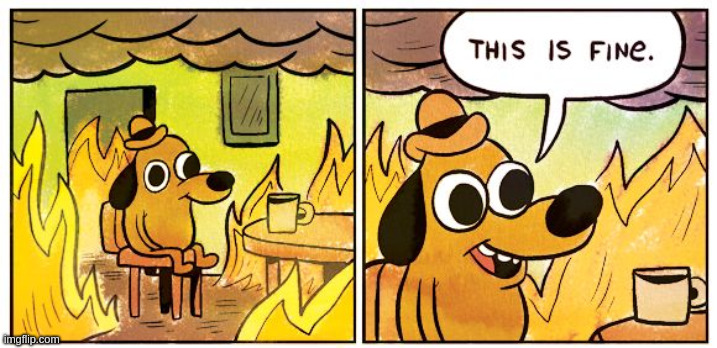 This is fine dog sitting in a burning room, representing debugging code.